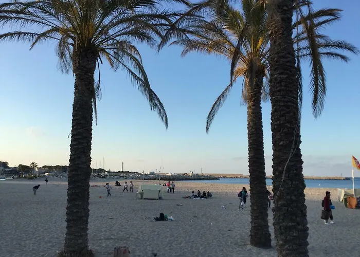 度假居 Zefiro&levante2 Luce Del Mare *